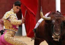 Idiot dies in Karmic Avalanche