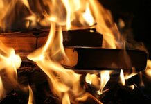 Trump rally cancels book burning as supporters have no books to burn