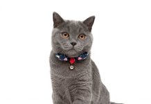 Police call time on sex pests