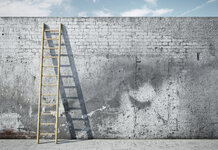 Trump’s view on border wall evolves after learning the word ‘ladder’ Ladder