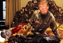 Trump finds Rory McIlroy’s head in bed after throwing Koch off Golf Course