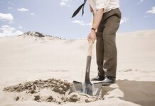 Hammond to Create National Hoard