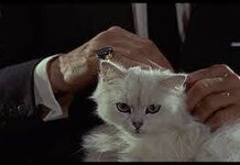 Ernst Stavro Blofeld a serious contender for Head of FBI