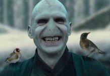 Lord Voldemort refuses to compare himself to any character in The Conservative Party