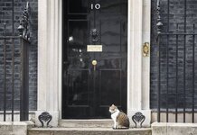 Giant Fish Finger and Lord Buckethead asked by Queen to prepare to govern