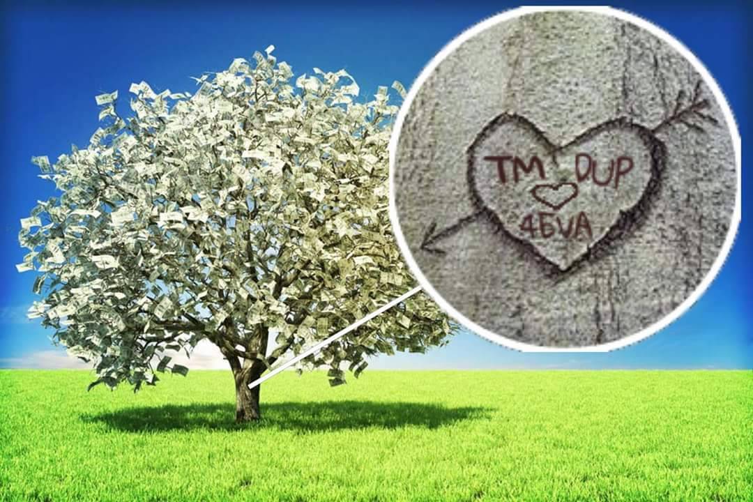 TM + DUP 4EVA carved into Magic Money tree by PM