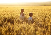 DUP explains kneecapping naughtier than running through wheat field Running