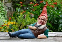 Michael Gove themed garden gnomes to be stocked by Homebase
