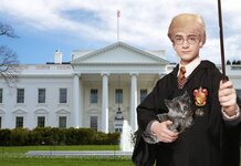 J K Rowling denies seven figure sum to write ‘President Trump and the White Wizard of Covfefe’