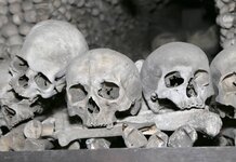 Black death condemned for being racist