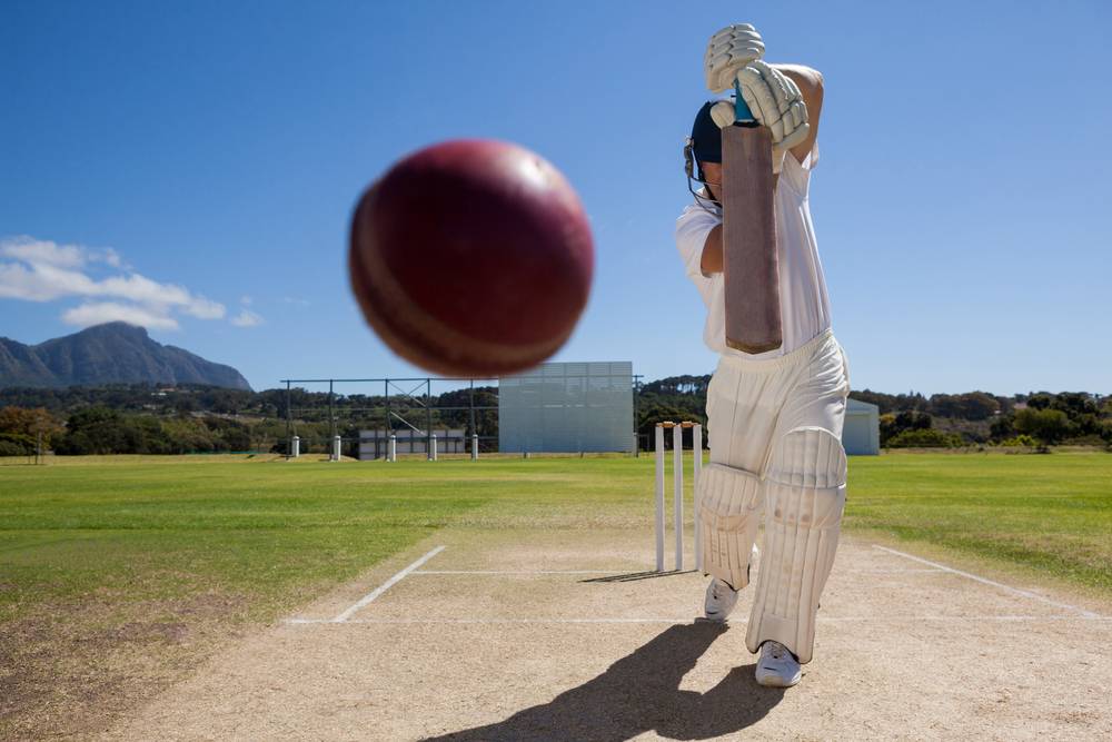 Cricket