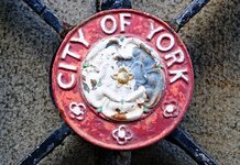 Senior Brexiter demands white York roses repainted Tudor rose for sake of national unity