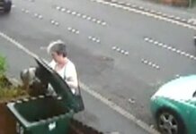 Woman who put cat in wheelie bin appointed goodwill ambassador to World Wildlife Fund Woman who put cat in a wheelie bin