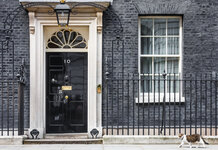 Larry the Downing Street Cat responds to allegations of sexual misconduct: These stories are true Larry the Cat