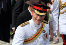 Prince Harry to marry woman he is barely related to Prince Harry