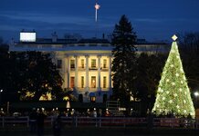 White House Nativity