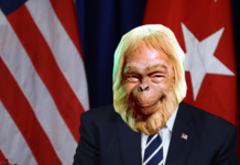 Donald Trump to join list of ‘self-aware’ animals after recognising himself in a mirror