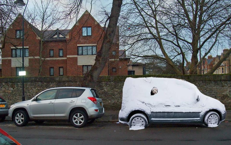 Car with snow on it