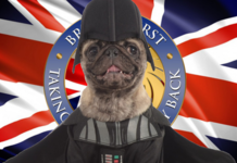 New Britain First leader Wayne Cummings apparently not a made up name