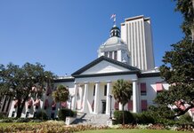 National Association of C#nts sue Florida for asking murderers to wait a bit to buy murder weapons