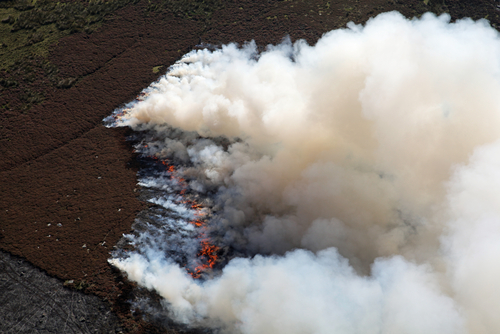 Fears of bush fire on Saddleworth moor causing huge smoke cloud actually vaping Hipster