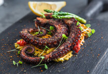 Psychic World Cup octopus Rabio sleeps with the fishes