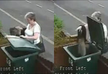 UKIP appoint woman who put that cat in wheelie bin as advisor on cat welfare