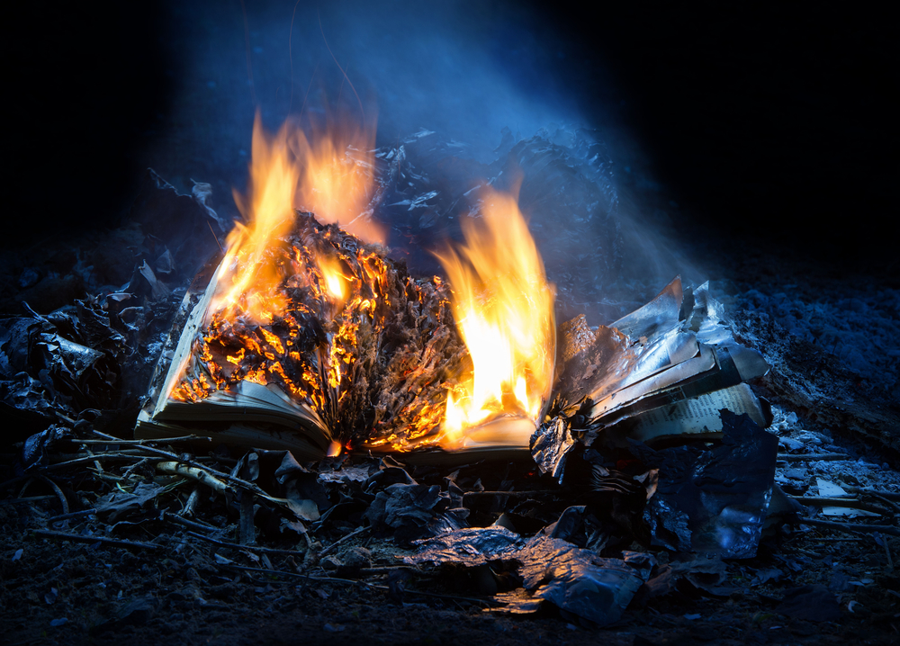 Tower of London illuminated by 10,000 fires as Aaron Banks burns documents