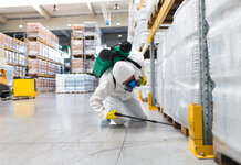 In London you’re never more than 6ft from a Tory Party leadership candidate, study finds Pest Control