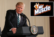 Donald Trump to appoint Mr Muscle™ as his new Coronavirus advisor